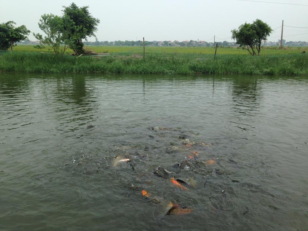 Tam Coc Homestay Ninh Binh Exterior foto