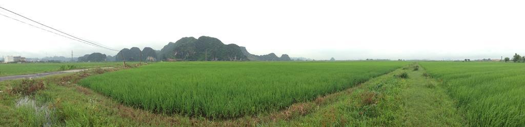 Tam Coc Homestay Ninh Binh Exterior foto