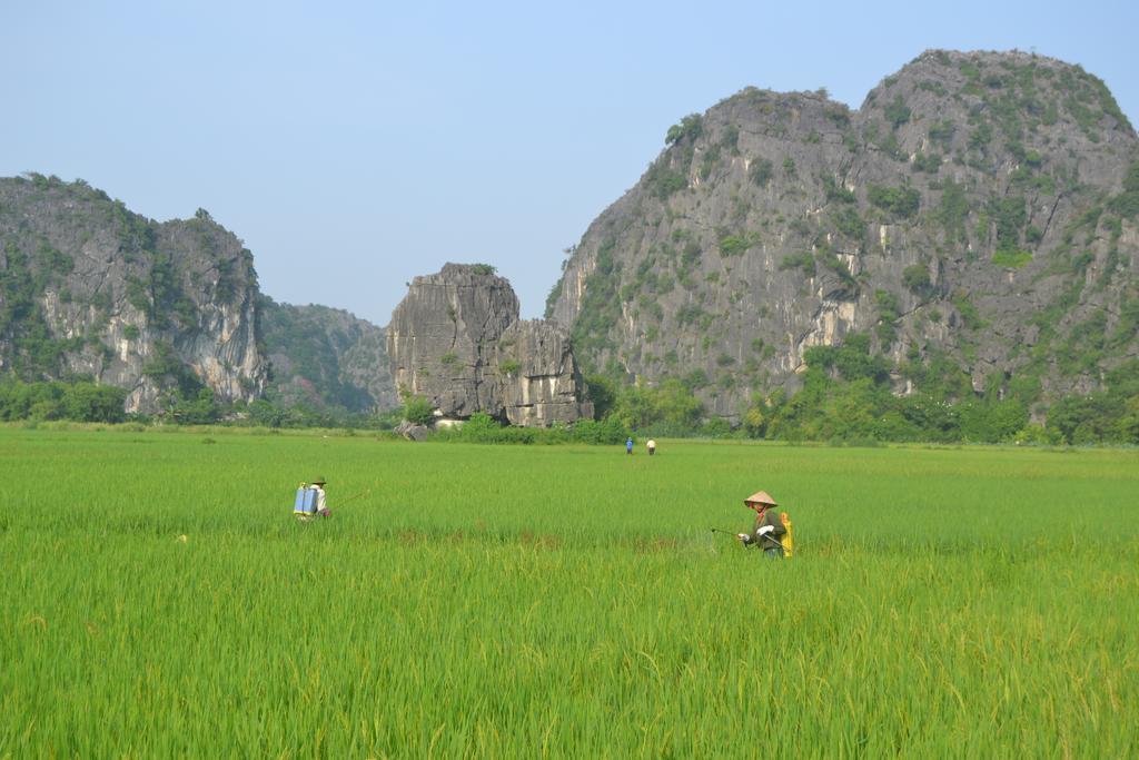 Tam Coc Homestay Ninh Binh Exterior foto